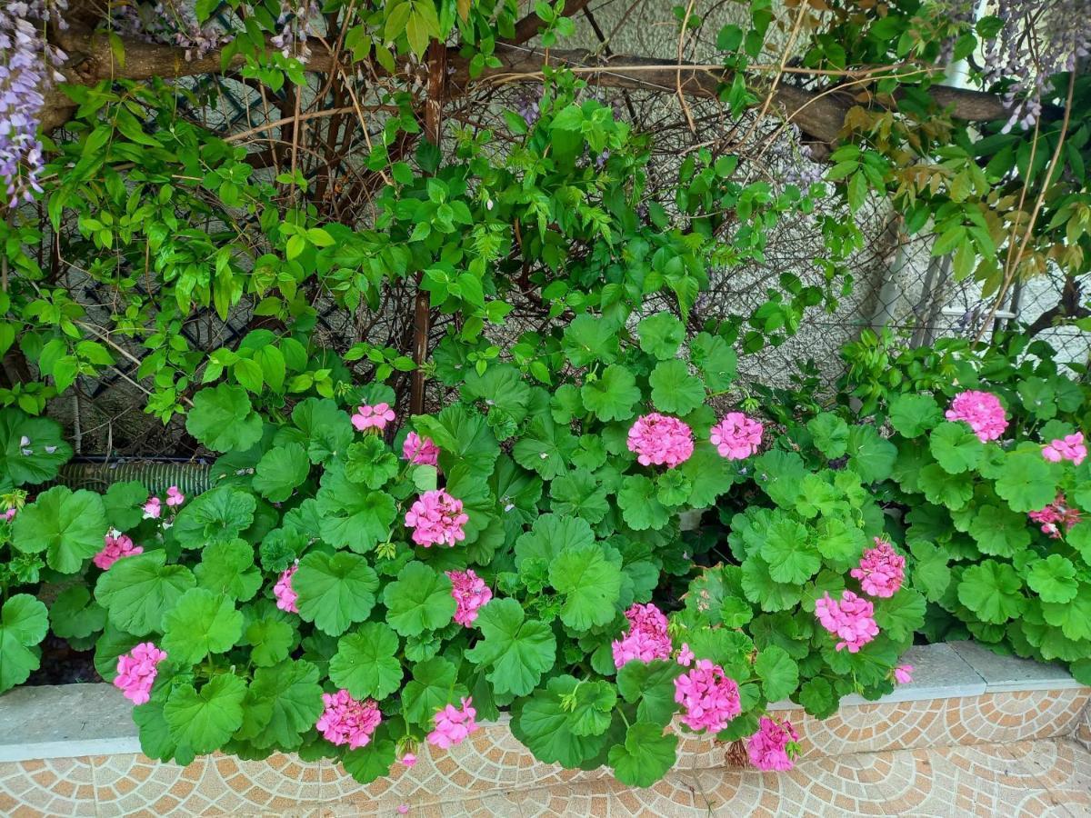 Вилла Peaceful House Near Airport Pikermion Экстерьер фото