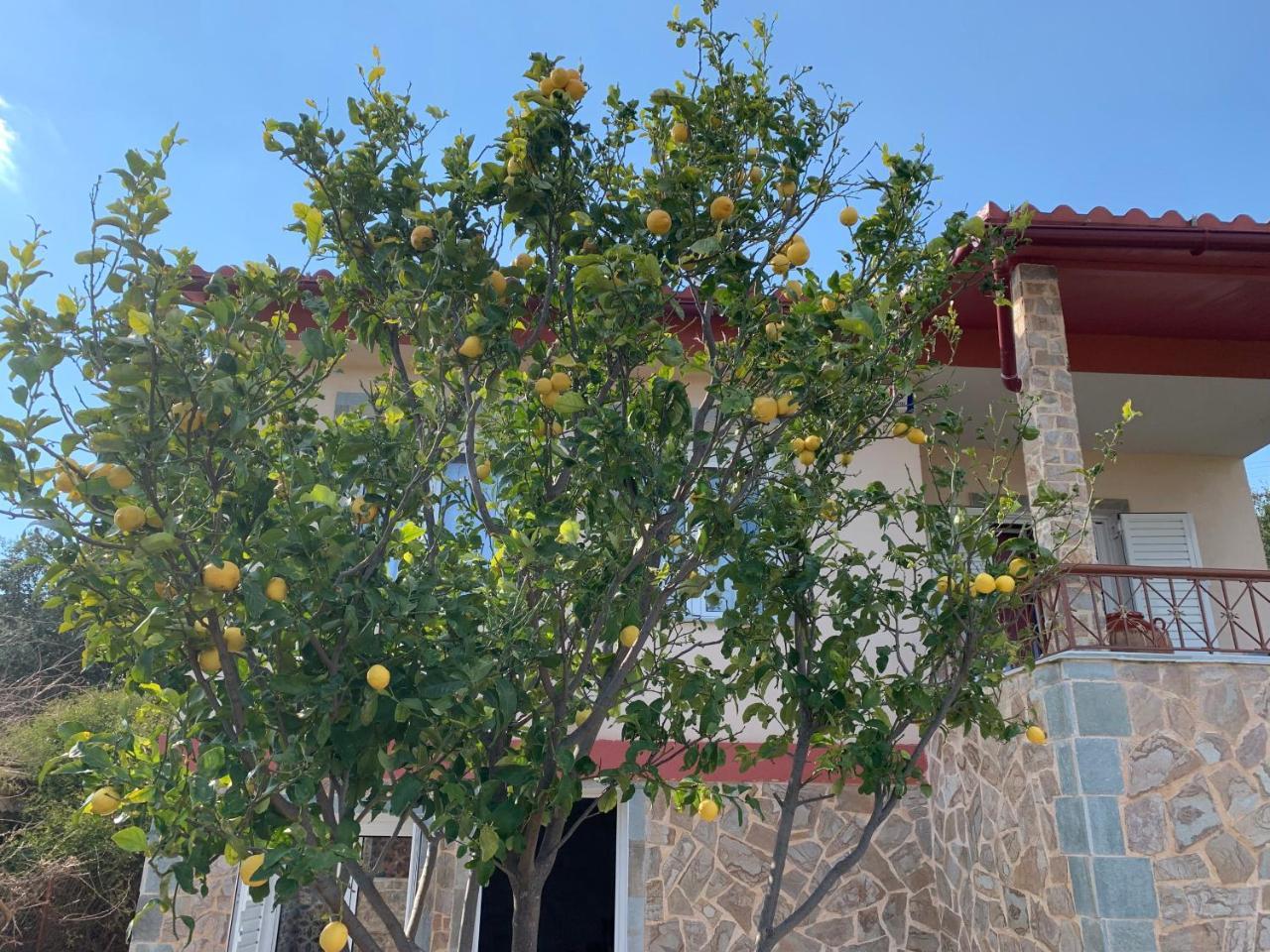 Вилла Peaceful House Near Airport Pikermion Экстерьер фото